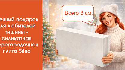 Перегородочная плита